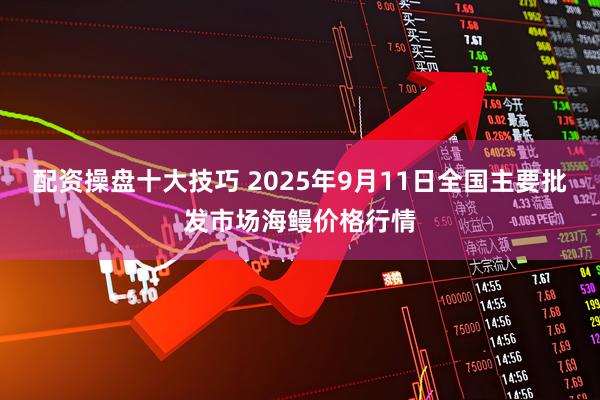配资操盘十大技巧 2025年9月11日全国主要批发市场海鳗价格行情